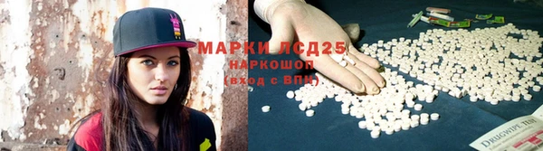 крисы Надым