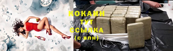 крисы Надым