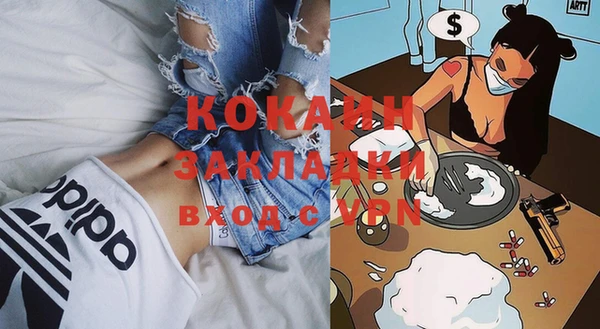 крисы Надым