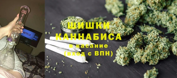 крисы Надым