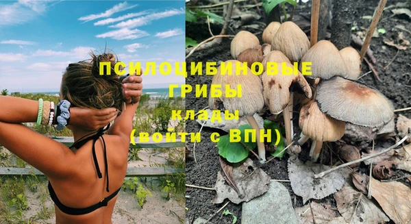 Альфа ПВП Наволоки