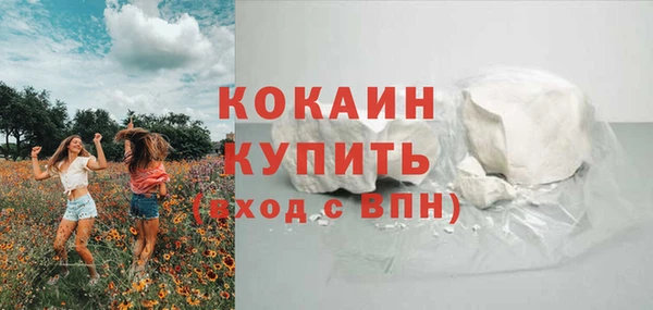 крисы Надым