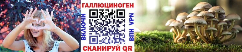 Галлюциногенные грибы мицелий  Чулым 
